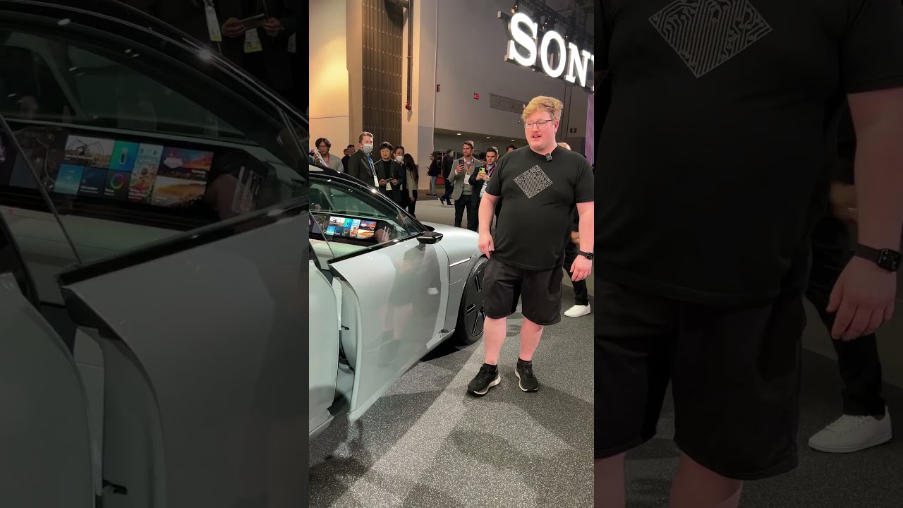 Sony Made A Gaming Car 