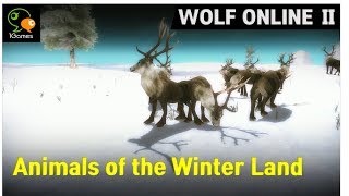 [Preview] Animals of Winter Land - Wolf Online 2 screenshot 4