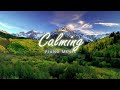 Piano Music for Deep Relaxation - BEAUTIFUL MORNING MUSIC | Boost Positive Energy