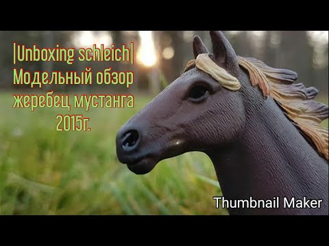 Распаковка - Модельный обзор жеребца мустанга фирмы Schleich ( чит.опис )