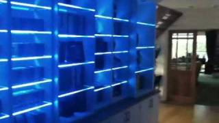 Colour changing LED lights on a bookcase with glass shelves