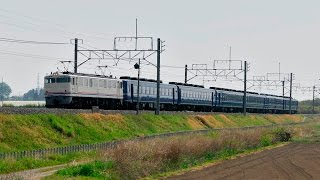 EF60白19号機+12系客車 なにかしらの臨時列車