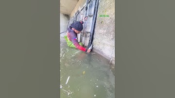 Cá Lớn - bắt Cá Trôi mắc kẹt ở cửa xả lũ 😱 #khacthuyvlogg