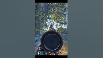 What Just Happened?! 😂😂 Rust Console