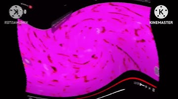 Crisps multi rendering round 3