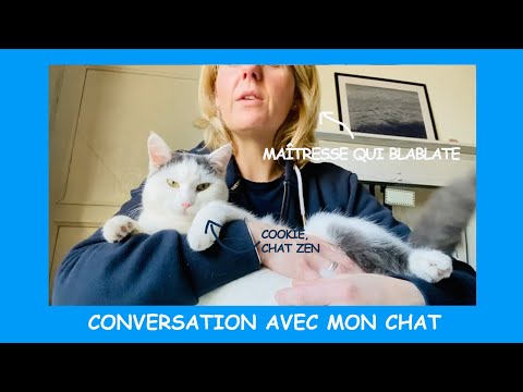 Conversation avec mon chat - Chat 93