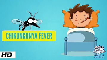 What are the 3 symptoms of chikungunya?