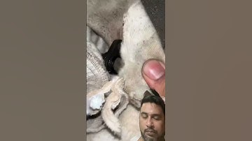 Cam Sensor Cleaning #automobile #mechanic #mechaniclife #engineblock