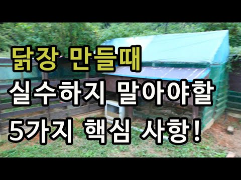 닭장만들때 중요한 5가지 핵심사항 / 저처럼 실수하지마세요~ /닭장만들기/처음 닭 기르기/5 key points when making a chicken coop.