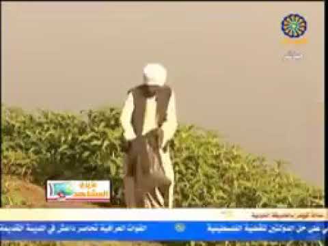 عثمان اليمني اسمك مين