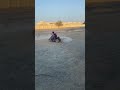 تخميس محمد الشامسي 