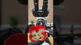 Chupa Chups Under Microscope 😱 What’s Inside? 🔬🍭 #microscope #micrologix #micro #youtubeshorts #gk