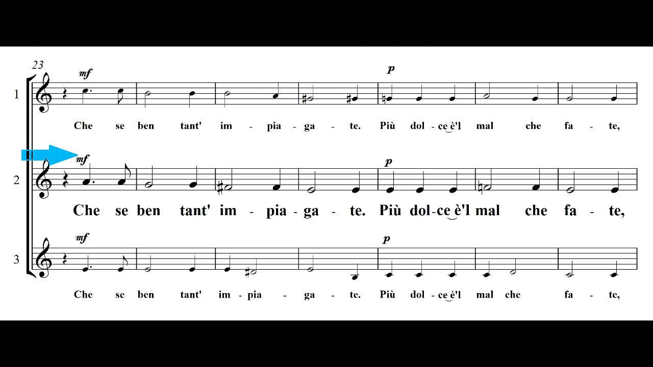 Dormite, begl'occhi (Orfeo) L.Rossi studio voce 2