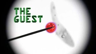 THE GUEST - Sci-Fi Short Film