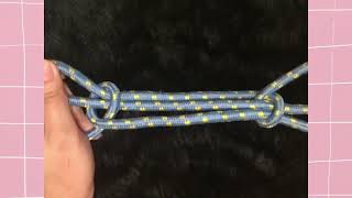 Famous Performance Task #1 (8 BASIC KNOTS) Profile