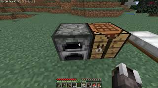 Minecraft 1.12.2 en ATI Radeon HD 4250