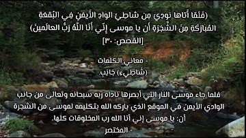 ماتيسر من سورة القصص الشيخ هيثم الدخين