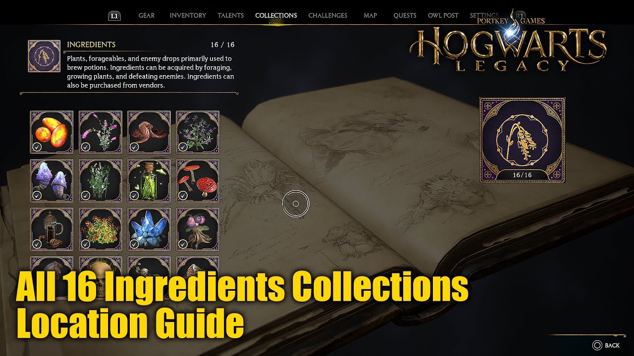 Hogwarts Legacy All Ingredients Collection Location Guide (Collector’s