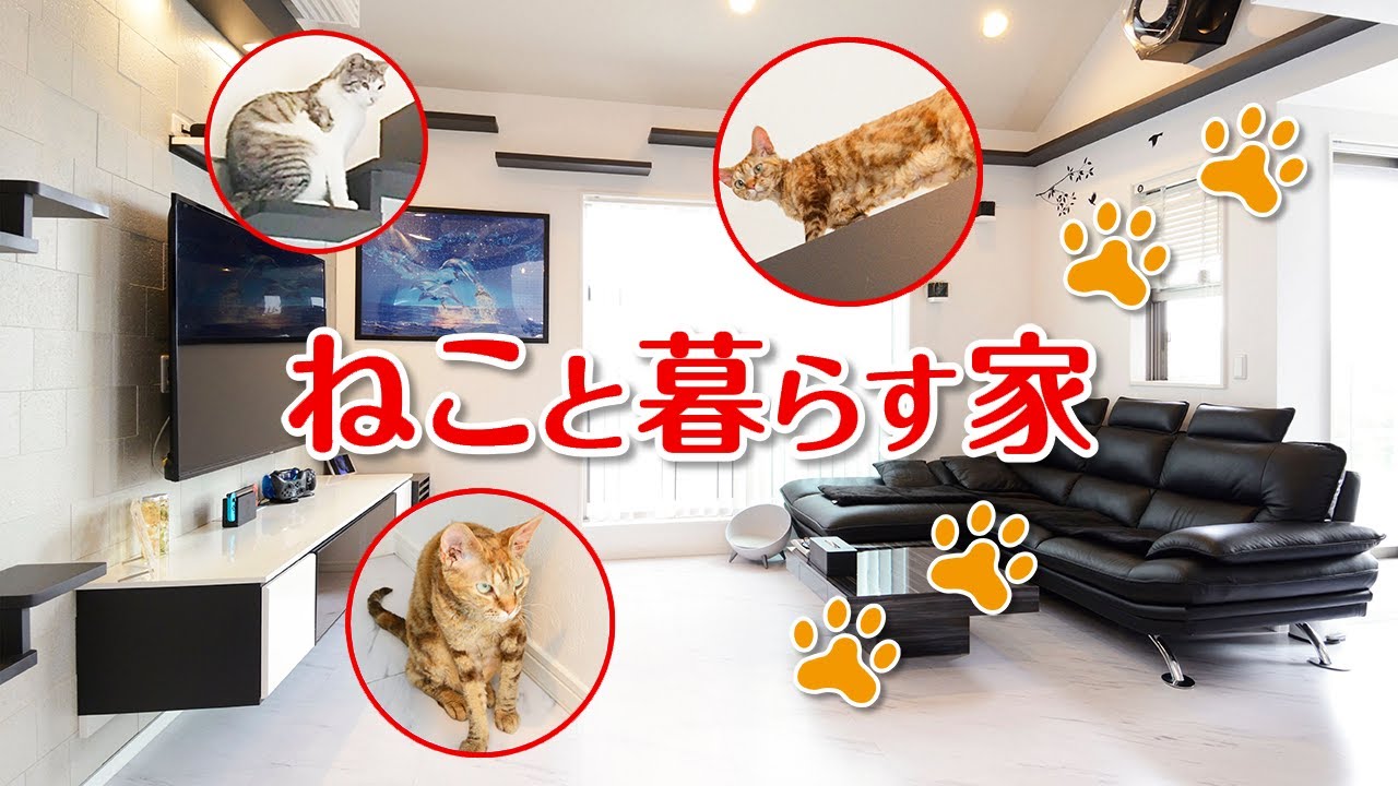 【リフォーム】キャットウォークがある『猫と一緒に暮らす家』｜中古住宅｜戸建て｜ビフォーアフター【ルームツアー】
