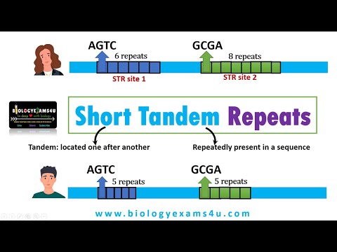 Video: Apa itu STR dalam DNA?