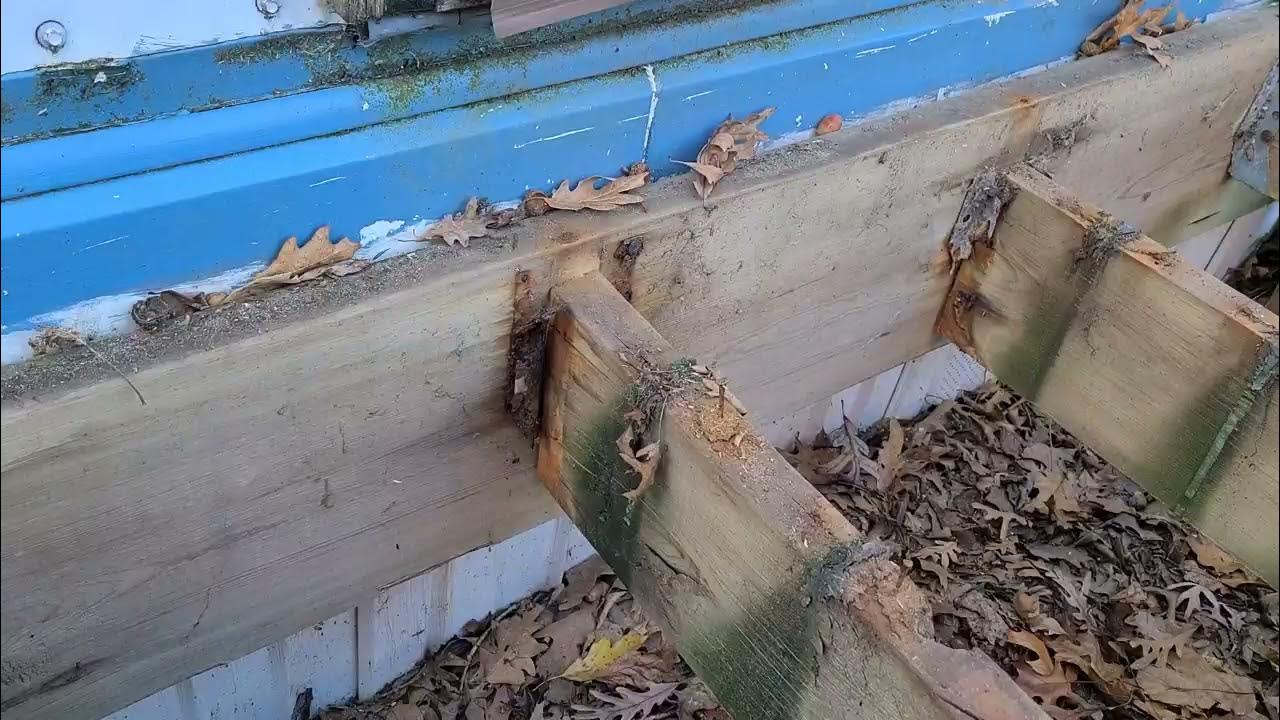 REPLACING ROTTED DECK JOIST HANGERS deck rehab part 1 YouTube