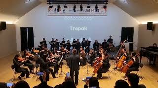 The Nutcracker Suite c. Trepak - Tchaikovsky 