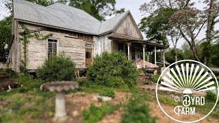 Underground Mystery and Big News From The Farm! Waverly Hall Georgia Cooper General Store