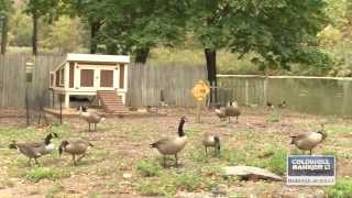 Mahwah, NJ Our Town