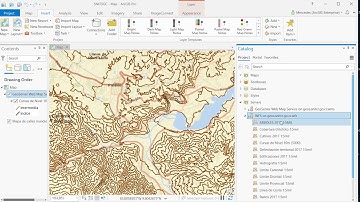 SNIT WFS en ArcGIS Pro