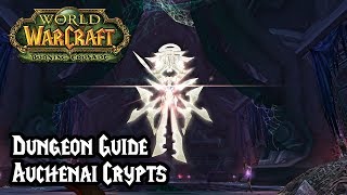 World of Warcraft: Burning Crusade Classic - Auchenai Crypts Heroic and Normal Dungeon Guide