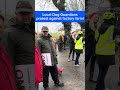 Local dogs protest!