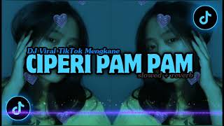 DJ CIPERI PAM PAM  •  Slowed + Reverb Mengkae !!!