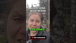 Wildfire Risks in the Garden #shorts #landscaping