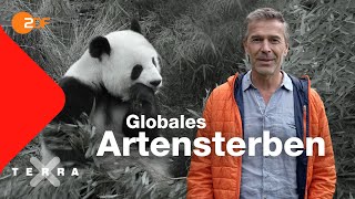 Artenschutz - Faszination Erde | Dirk Steffens | Ganze Folge Terra X