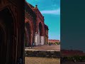color grading and song reels #colorgrading #edit