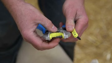 How to apply the Allflex Bubblegum EID tag