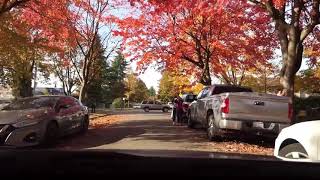 Beautiful Autumn drive along Cambridge Street in Vancouver, British Columbia