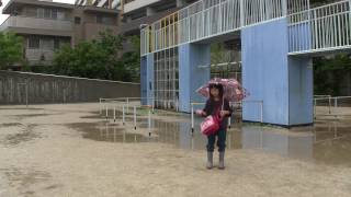 My Lens 0 6倍ワイドコンバージョンレンズ