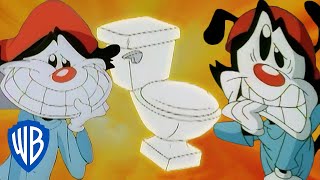 Animaniacs | Wakko Has to Go Potty | Classic Cartoon | WB Kids