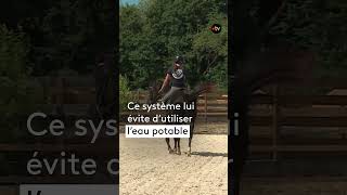 Ces agriculteurs trouvent des alternatives à la sécheresse
