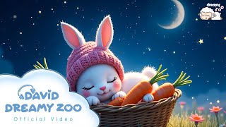The Serenity Inside - David Dreamy Zoo