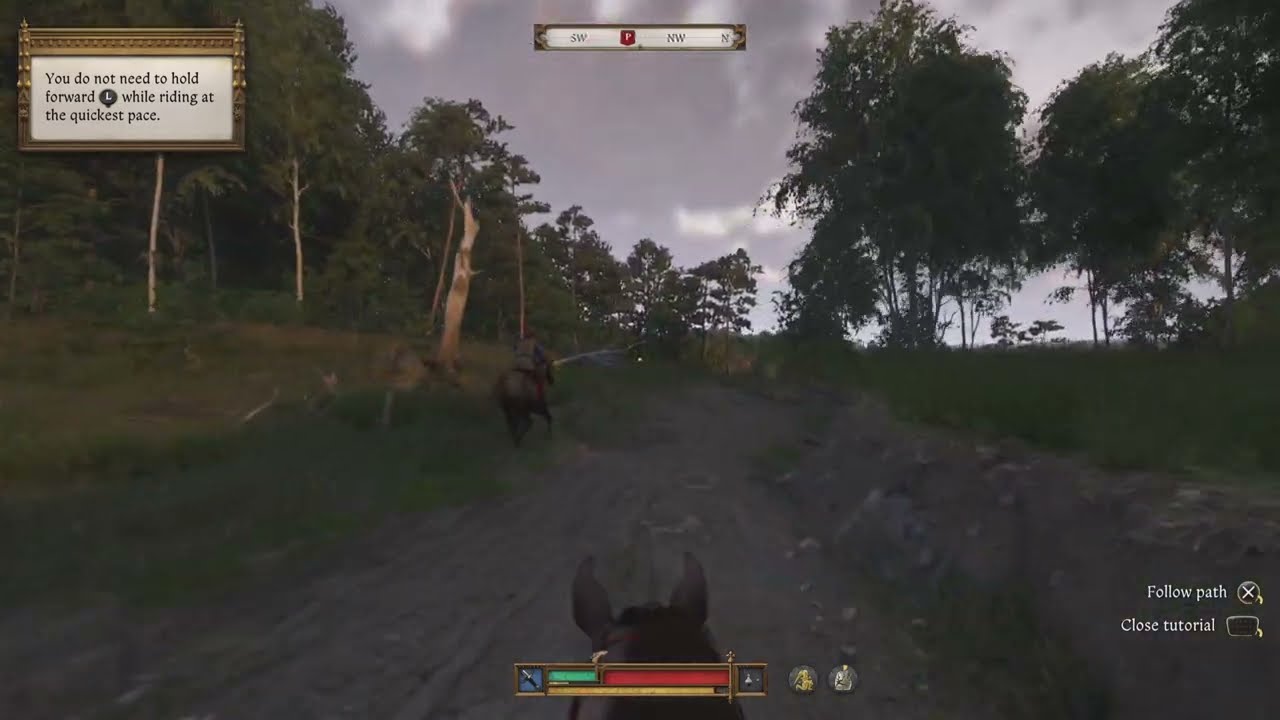 Don't let the Cardinal Flee! Easy Solution - KCD 2