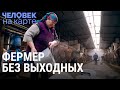 Градообразующая ферма | ЧЕЛОВЕК НА КАРТЕ