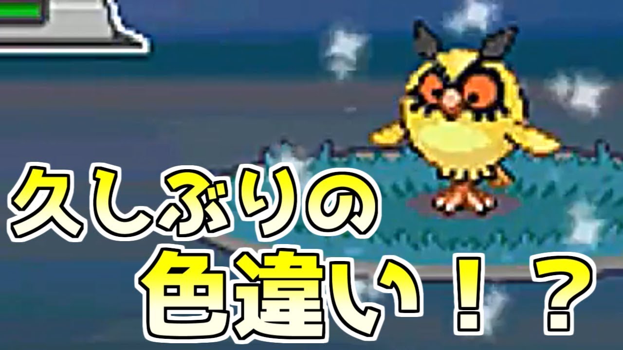 神回 色違いホーホーを出して動揺する男 ポケモンhgss Youtube