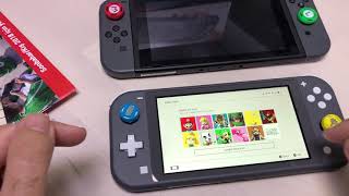 Nintendo Switch Lite Kurulum Setup