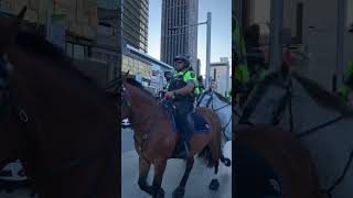 Australian Police Women Horses