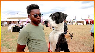 Meet the Dogs  & their owners at the Dogtober Festival 2022