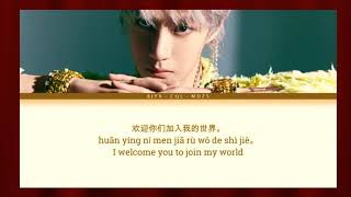 Cover for Wang Yibo Rules of my world. Lyrics only