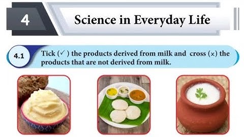 Ennum Eluthum 4th  std science term 1 // science in everyday life // workbook answer 