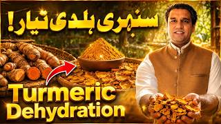 Most Profitable Food Processing Business in Pakistan? Turmeric Powder Setup